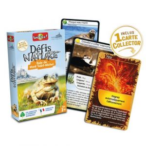 Bioviva Defis nature - Baie du Mont st Michel