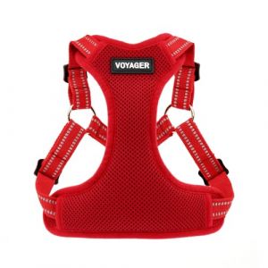 Best Pet Supplies Voyager Entièrement réglable Harnais Ajustable en Maille Filet Harnais avec Bande réfléchissante 3 m