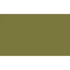 Caran d'Ache Crayon Luminance 6901 de C Olive brun&acirc;tre