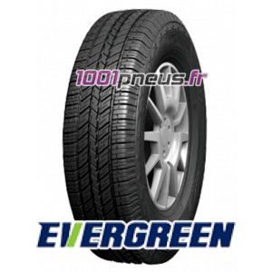 Image de Evergreen 245/70 R16 111T ES82 XL