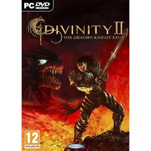 Divinity II : The Dragon Knight Saga [PC]