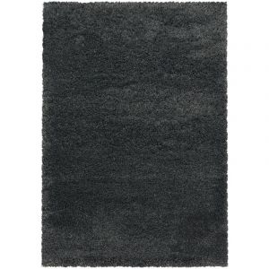 Fluffy - Tapis Salon Shaggy Poils Longs Fibre Doux moelleux (Anthracite - 120x170cm)