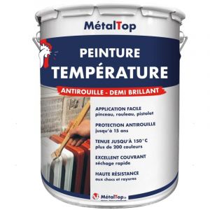 Peinture Temperature - Noir graphite - RAL 9011 - Pot 5L