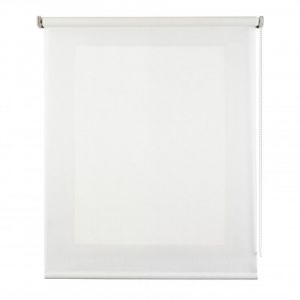 Stores roulants translucides pour fenêtres Blanc, 45 x 180 cm