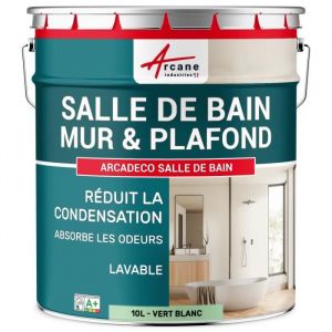 Arcane industries Peinture salle de bain mur plafond condensation - 10 l Vert Blanc - ral 6019