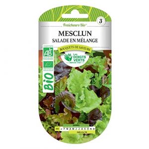 Les doigts verts Graines mesclun salade en mélange BIO