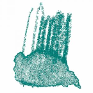 Staedtler Crayon de couleur aquarellable Vert marin