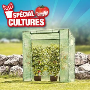 Outiror Serre tomates