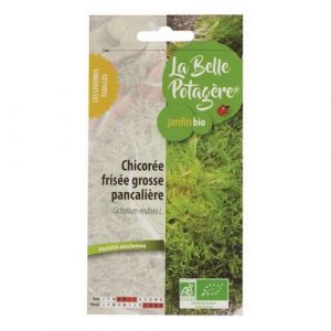 Graines à semer Salade frisée grosse pancalière 0,5 g La Belle Potagère