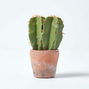 Homescapes Petit cactus artificiel en pot en terracotta, 17 cm