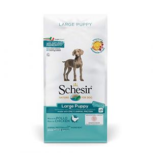 Schesir Croquettes pour Chiots de Grande Taille, saveur Poulet, croquettes - Format Sac de 12 kg