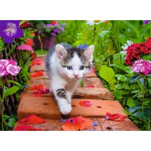 Nathan Puzzle 500 pièces - Chaton au jardin - Adultes et enfants dès 12 ans - Puzzle de qualité supérieure - Encastrement parfait - Collection Tendresse - 12000968