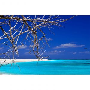 A.S. Creation Papier peint panoramique Seychellen DD100013 XXL World Trip - 267 x 400 cm (4 pièces)