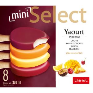 Image de Thiriet Mini sélect yaourt et fruits assortis