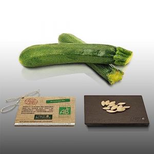 10 Graines &Agrave; Semer - Le Grenier D'abondance - Courgette Verte Des Maraichers - Certifi&eacute; Ab - Curcurbita Pepo