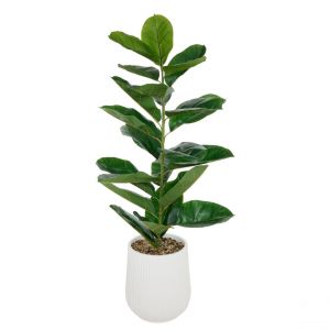 Image de Ficus artificiel en pot Sky Vert