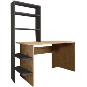 Bureau biblioth&egrave;que Bois m&eacute;lamin&eacute; ch&ecirc;ne-Gris fonc&eacute; 120x55x150 cm