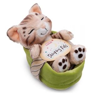 Nici Peluche chat dormant dans un panier Bengal