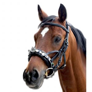 Waldhausen Caveçon pour cheval en cuir