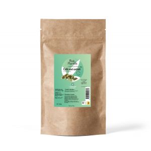 Rue des plantes Café vert extrait Poudre 100g