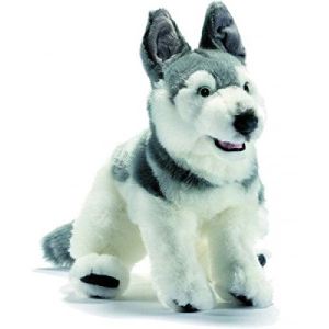 Anima Peluche Chien Husky 42 cm