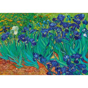 Bluebird Puzzle Vincent Van Gogh - Irises, 1889