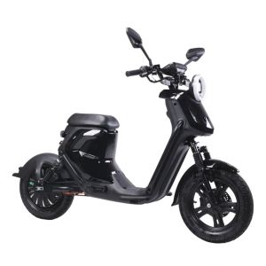 Bici elettrica da citt&agrave; in fibra di carbonio Engwe N1 Air ST da 250 W con batteria da 36 V 10 Ah