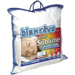 Oreiller microduv 60x60 Clearance