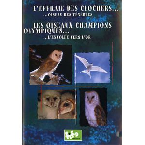Effraie des clochers