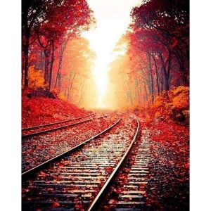 Figured'Art Peinture par Num&eacute;ro Adulte Les Rails en Automne - Activit&eacute; Manuelle Kit de Loisir Cr&eacute;atif DIY Num&eacute;ro d'Art Complet - 40x50cm sans ch&acirc;ssis en bois