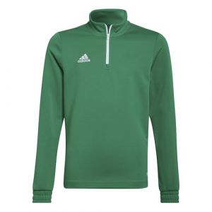 Adidas Sweatshirt training entrada 22 kids green