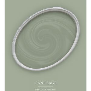 Peinture vert pâle mat moderne et résistante Peinture facile à appliquer Peinture The Color Kitchen TCK4004 5L