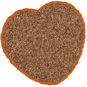 Nourriture pour tortues gammares Duvoplus