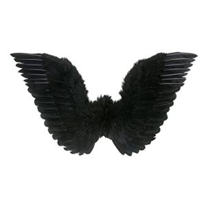 Widmann Ailes à plumes (86 x 31 cm)