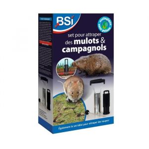 BSI Piège à Campagnols - Adapté aux Rats Taupiers et Taupes - Set d'Outillage complet pour la mise en œuvre - Avec 3 pièces