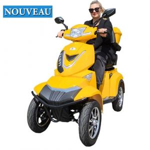 Electroride FASTI 4 MAX 1000 watts scooter électrique 4 roues pour PMR homologué route