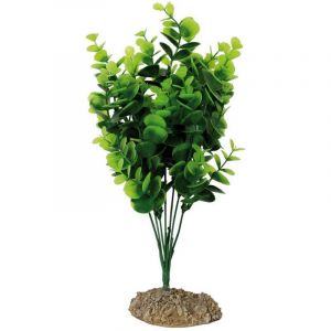 Reptiles Planet Accessoire pour aquarium Pembe Bush