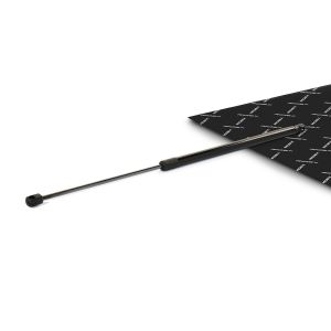 RIDEX Vérin de coffre CITROËN 219G1085 8731P2,8731T1,9654433480