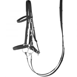 Harry's Horse Bridons /Licol
