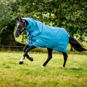 Couverture d'extérieur pour cheval Horseware Amigo 900D Revive Plus 50g
