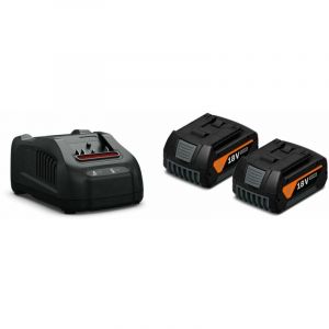 Fein Set de démarrage GBA 18V/5 Ah AS ProCORE 18 V 5.0 Ah AS avec 2 batteries lithium-ion ProCore 18V 5.0 Ah et 1 chargeur rapide GAL 1880 CV.