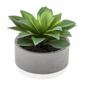AC-D&eacute;co Plante grasse artificielle - D 12 x H 13 cm