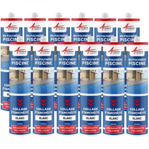 Arcane industries Mastic Piscine Polymère Collage et Étanchéité: ARCAMASTIC POLYMERE - 12 x 290 ML Blanc