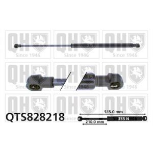 Quinton Hazell Vérin de coffre QTS828218