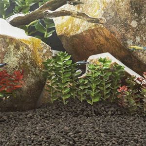 VidaXL Roches volcaniques 10 kg noir 1-2 cm