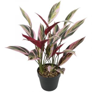 Bigbuy Home Plante décorative 43 x 40 x 55 cm Vert Oiseaux de Paradis