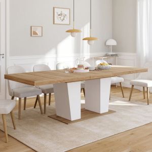Idmarket Table &agrave; manger extensible rectangle ELIAD 8-12 personnes bois et blanc 200-250 cm