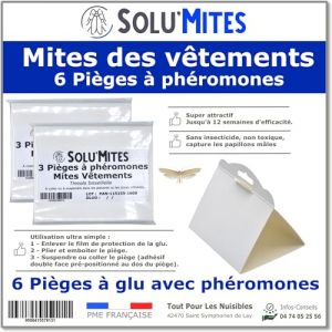 Tout Pour Les Nuisibles - SOLU'MITES-Pièges Phéromones pour Mites du vêtement-Lot 6 pièges