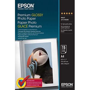 Epson C13S042169 - PACK DE 2 - PAPIER PHOTO PRE…