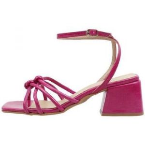 KRACK CORE - VERBIO 36 Rose